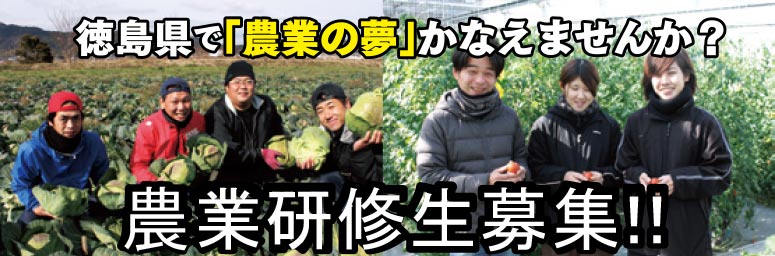 徳島県で「農業の夢」かなえませんか？農業研修生募集